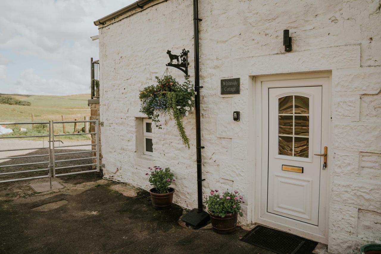 White Side Cottage Haltwhistle Exteriér fotografie