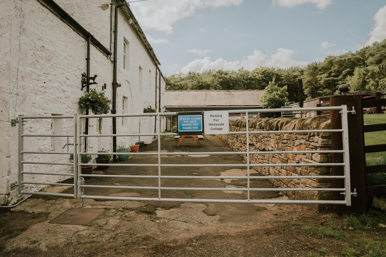 White Side Cottage Haltwhistle Exteriér fotografie
